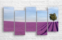 Pictură ArtDesign Lavender field 150x77cm (F-10128)