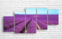 Pictură ArtDesign Lavender field 160x73cm (C-10088)