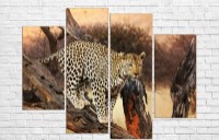 Картина ArtDesign Leopard 120х89cm (F-10050)