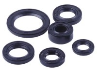 Garnituri de ulei TATA TT-055-DELTA