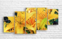 Pictură ArtDesign Lilies 165x78cm (C-10126)