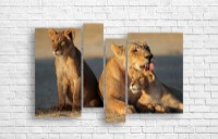 Картина ArtDesign Lion family 142х95cm (F-10097)