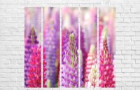 Картина ArtDesign Lupines 115x100cm (C-10118)