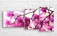 Pictură ArtDesign Magnolia 125x60cm (C-10240)