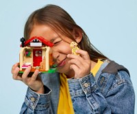 Set de construcție Lego Goldies Cozy House (77058) imaginea #3 — magazin online Desire.md