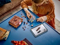 Set de construcție Lego Harry Potter Champing Monster: Book Of Monsters (76449) imaginea #4 — magazin online Desire.md