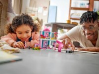 Set de construcție Lego Minnies Pet Hotel (43274) imaginea #5 — magazin online Desire.md