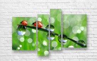 Pictură ArtDesign Morning dew and ladybug 123х81cm (F-10009)