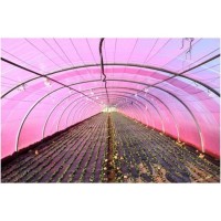 Peliculă pentru seră Vatan UV 120mcr H-10m L-35m Green imaginea #2 — magazin online Desire.md