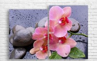 Pictură ArtDesign Orchid 102x70cm (С-10266)