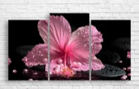 Pictură ArtDesign Orchid 110x60cm (С-10272)