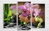 Pictură ArtDesign Orchid 110х82cm (C-10035)