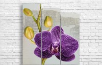 Pictură ArtDesign Orchid 111x120cm (С-10199)