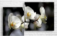 Pictură ArtDesign Orchid 121x80cm (C-10305)