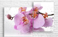 Pictură ArtDesign Orchid 121x80cm (С-10258)