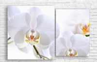 Картина ArtDesign Orchid 121x80cm (С-10260)