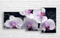 Pictură ArtDesign Orchid 125x60cm (C-10275)