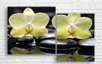Pictură ArtDesign Orchid 127х80cm (Q-10044)