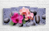 Pictură ArtDesign Orchid 147x70cm (С-10268)