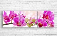 Pictură ArtDesign Orchid 154x50cm (C-10232)