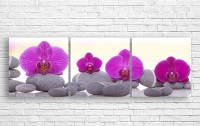 Pictură ArtDesign Orchid 154x50cm (Q-10042)