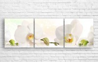 Pictură ArtDesign Orchid 154x50cm (С-10259)