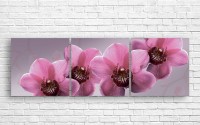 Pictură ArtDesign Orchid 154x50cm (С-10287)