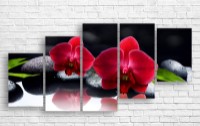 Pictură ArtDesign Orchid 155x73cm (C-10385)