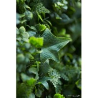Gard artificial Emerald Garden Mix UV Green 50x50cm (076944) imaginea #2 — magazin online Desire.md