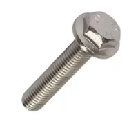 Болт Reyher 073N10025