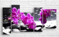 Pictură ArtDesign Orchid 155x85cm (C-10120)