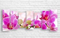 Pictură ArtDesign Orchid 165x65cm (C-10215)