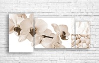 Pictură ArtDesign Orchid 167x80cm (C-10151)