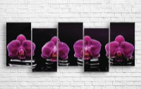Pictură ArtDesign Orchid 180x69cm (С-10265)