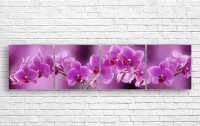 Картина ArtDesign Orchid 205x50cm (C-10271)