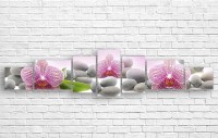 Pictură ArtDesign Orchid 224x50cm (Q-10045)