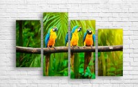 Картина ArtDesign Parrots 120х80cm (F-10019)