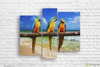 Pictură ArtDesign Parrots 142х118cm (F-10098)