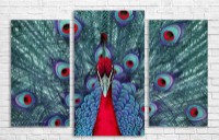 Pictură ArtDesign Peacock 102х67cm (F-10014)