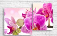 Pictură ArtDesign Pink Orchid 121x80cm (C-10217)