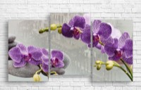 Картина ArtDesign Purple Orchid 110x60cm (C-10198)