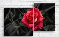 Pictură ArtDesign Red rose 121x80cm (C-10206)
