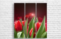 Pictură ArtDesign Red tulips 103x110cm (C-10105)