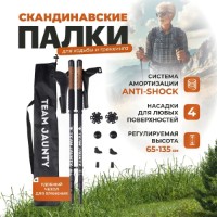 Bețe de trekking Team Jaunty 6-3JNS Black imaginea #2 — magazin online Desire.md