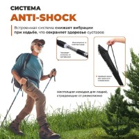 Bețe de trekking Team Jaunty 6-3JNS Black imaginea #3 — magazin online Desire.md