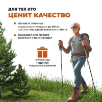 Bețe de trekking Team Jaunty 6-3JNS Black imaginea #6 — magazin online Desire.md