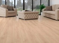 Ламинированная доска Camsan Platinum 32 class 2102 фото №2 — интернет-магазин Desire.md