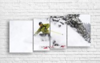 Pictură ArtDesign Skis Snow Pines 190x90cm (SP-10051)