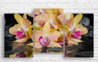 Pictură ArtDesign SPA stones and orchid 110x60cm (C-10196)