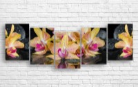 Pictură ArtDesign SPA stones and orchid 176x61cm (С-10188)